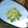 dai_ka_kha_banh