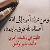 m____a751
