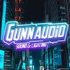 GUNN_AUDIO-LIGHTING❄️