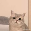 nour8_q