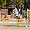 Iben.showjumper