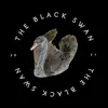 the.blackswannn
