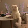 mfstargirl