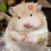 kevin_20121212