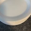 paper_plate_chef