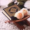 hader7691