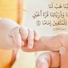 user8009161380277