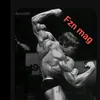 fznmag