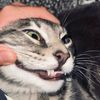 ediniboy