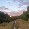 twirly99