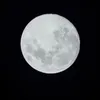 whitenigh3