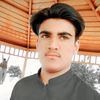 hamzamalik4461