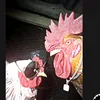 naheruwa