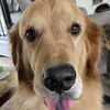 murphy01823