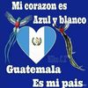 hugomendoza2433
