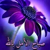 user21953436676683