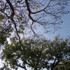 megustaelpan0421
