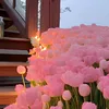 nguyennhan399