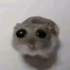 notyourjazzyy