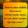 hayaller_34hayatlar