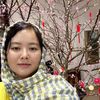 spring_windy