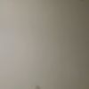 pab1077