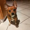romualdbancillon