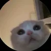 emmeiw_