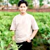 ismailhossain7595