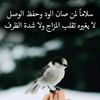user8246943851670ahmadal