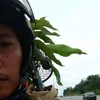 zemangmang211