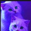 user032888cryztalgold
