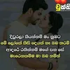 user2106444339821ishani6