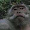anomaliii24_