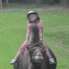 linnea0378