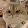 jessimlebest23