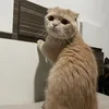 tobythefamily_