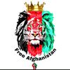 hakim_0000