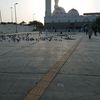 user3933580021482a.ahmed