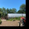 therealgardener