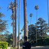 abdulrhmaaaaan