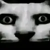 sss_m.v.23