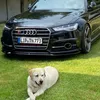 adrian_773_