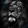 alissoncardoso211