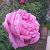 louli_louli03