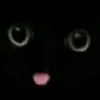 randomraccoon_online