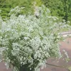 timruhland449
