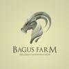 Bagus Farm