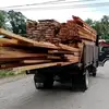 kayukulim
