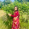 itsmechitra11
